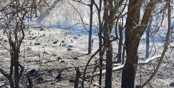 SITUACIÓN DE LOS INCENDIOS: SIN FOCOS ACTIVOS, BOMBEROS MANTIENEN GUARDIA DE CENIZAS