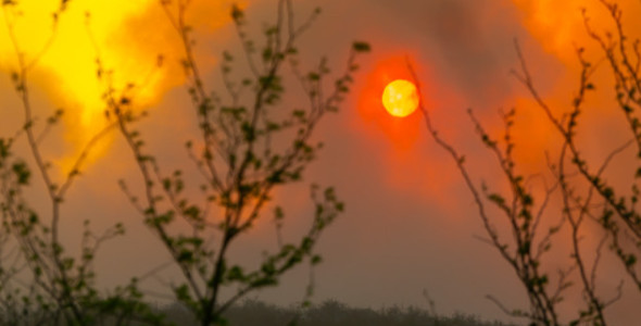 INCENDIOS: ESTADO DE SITUACIÓN DE INCENDIOS EN LA PROVINCIA