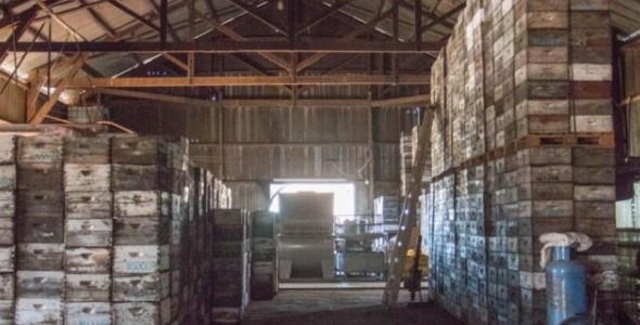 LA LLEGADA DEL GAS NATURAL SIGUE POTENCIANDO A EMPRENDIMIENTOS DEL SUR SUR PROVINCIAL