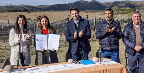 LA PROVINCIA PRESENTÓ EL PROGRAMA VIÑEDOS SOSTENIBLES PARA IMPULSAR LA PRODUCCIÓN VITIVINÍCOLA R