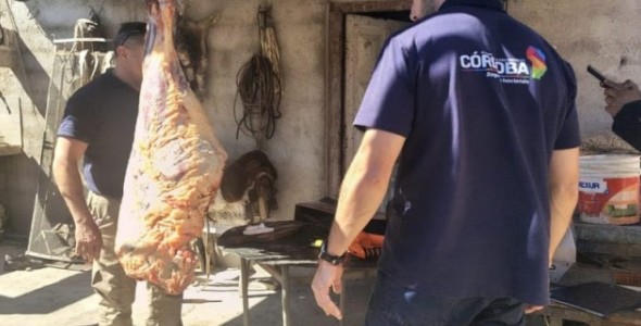 CONTROL SANITARIO: DECOMISAN CARNE TRAS OPERATIVO POR FAENA ILEGAL EN MALAGUEÑO