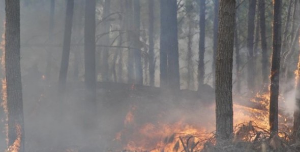 LA PROVINCIA DECLARÓ EL ESTADO DE ALERTA AMBIENTAL POR RIESGO DE INCENDIOS