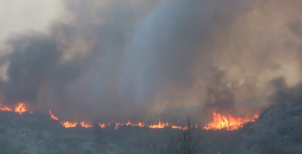 VARIOS CUARTELES DE BOMBEROS COMBATEN UN INCENDIO ENTRE LA CALERA Y MALAGUEÑO