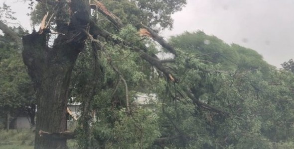 FUERTE TEMPORAL EN EL SUDESTE PROVINCIAL: ANEGAMIENTOS, VOLADURAS DE TECHOS Y MÁS DE 60 EVACUADOS