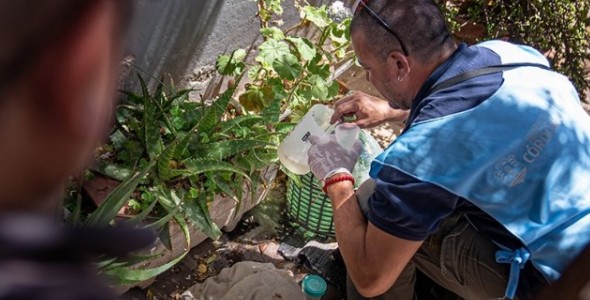 DENGUE: RECOMENDACIONES PARA ELIMINAR POSIBLES CRIADEROS DE MOSQUITOS