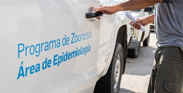 SE SOSTIENE LA BAJA DE CASOS DE DENGUE EN LA PROVINCIA