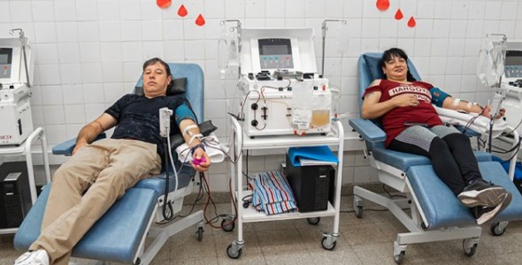 FIEBRE HEMORRÁGICA ARGENTINA: LA DONACIÓN DE PLASMA ES CLAVE PARA SU TRATAMIENTO