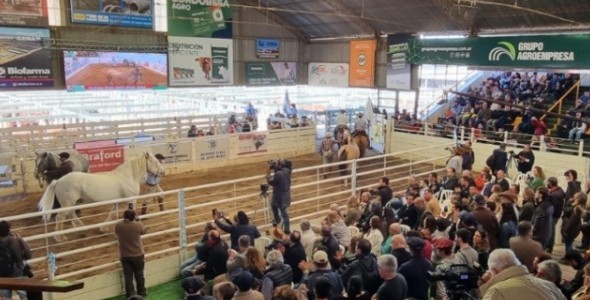 LA EXPO RURAL DE JESÚS MARÍA ABRE SUS PUERTAS EL VIERNES