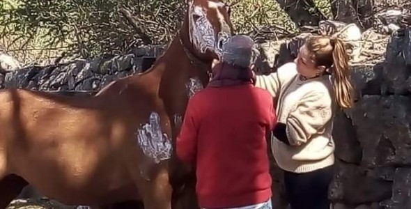 IPAD entregó las donaciones para los animales de Tanti