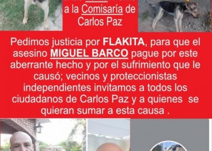 Convocan a una manifestación reclamando el maltrato animal