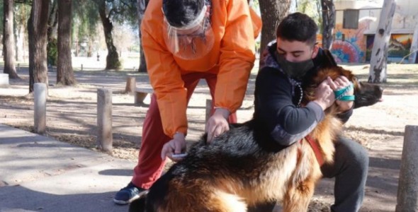 La Municipalidad extiende la campaña de vacunación antirrábica