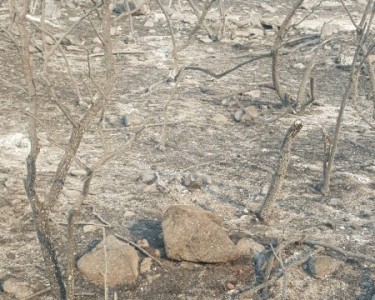 Bomberos lograron sofocar algunos incendios de Punilla