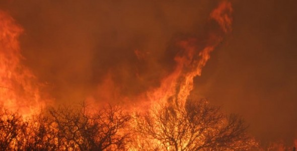 Intensos focos de incendios en toda la provincia de Córdoba