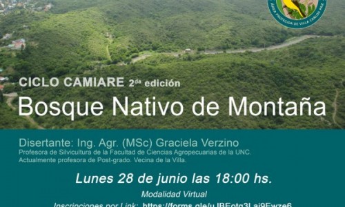 Invitan a participar de charlas virtuales sobre el bosque nativo local 