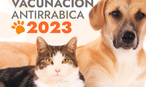 VACUNACIÓN ANTIRRÁBICA: DÍAS Y HORARIOS REPROGRAMADOS POR MAL CLIMA