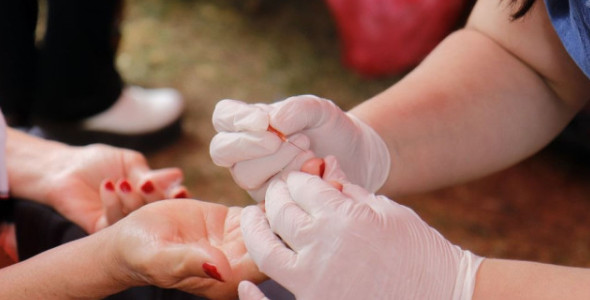 DÍA MUNDIAL DE LA DIABETES: NUMEROSAS ACTIVIDADES EN LOS JARDINES MUNICIPALES