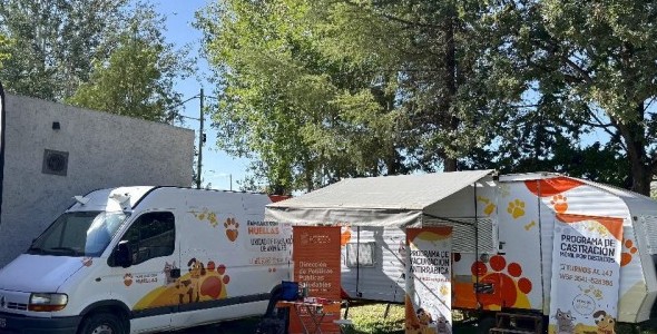 EL MUNICIPIO PRESENTÓ LOS PROGRAMAS DE CASTRACIÓN MÓVIL POR DISTRITOS Y VACUNACIÓN ANTIRRÁBICA