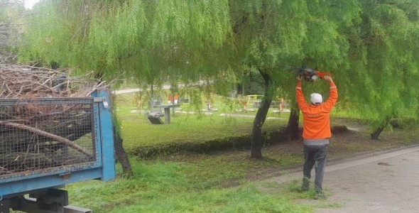 SERVICIOS PÚBLICOS: CONTINÚAN LOS TRABAJOS EN VÍA PÚBLICA DE PODA, MANTENIMIENTO, LIMPIEZA Y COR