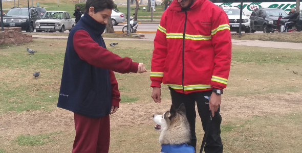 Preparan acompañantes terapéuticos caninos