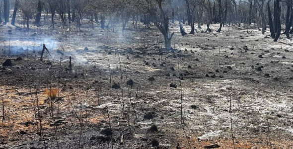 CUATRO INCENDIOS SE MANTIENEN EN GUARDIA DE CENIZAS