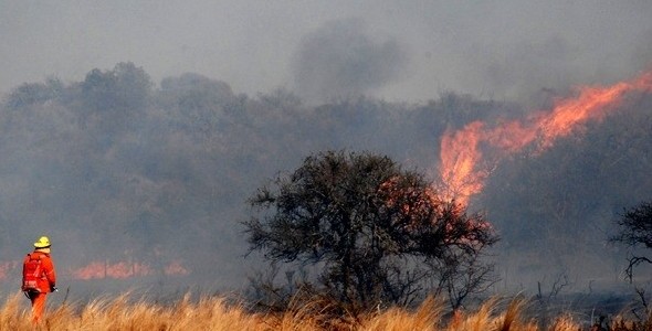 ALERTA DE RIESGO DE INCENDIO: LA IMPORTANCIA DE PREVENIR INCENDIOS FORESTALES