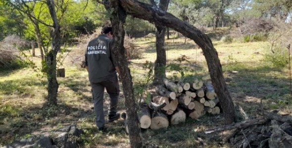 POLICÍA AMBIETAL FRENÓ DESMONTES EN DISTINTOS PUNTOS DE LA PROVINCIA
