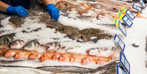 CÓMO PREVENIR INTOXICACIONES ALIMENTARIAS CON PESCADOS Y MARISCOS