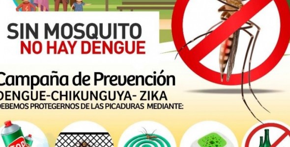 Intensifican la campaña de prevención contra el dengue en Carlos Paz