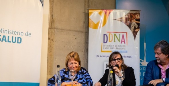 PROYECTO PARTO DE ORO: 14 MATERNIDADES PRESENTARON SUS EXPERIENCIAS