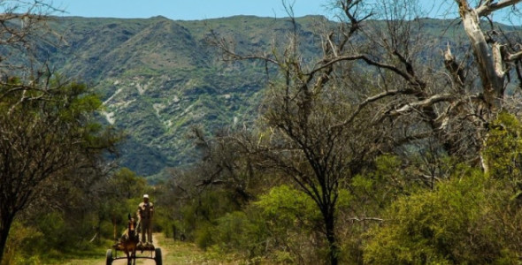 PAGO POR SERVICIOS AMBIENTALES: CONVOCATORIA PARA PROPIETARIOS DE TIERRAS CON BOSQUE NATIVO