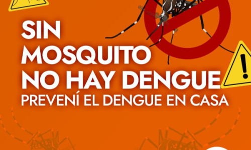 CAMPAÑA DE PREVENCIÓN DEL DENGUE: CRONOGRAMA DE DESCACHARREO EN DISTINTOS PUNTOS DE LA CIUDAD