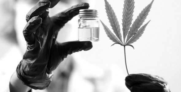 Córdoba se adhirió a la ley de uso medicinal de cannabis