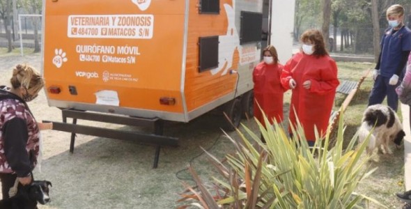 Caniles municipales superaron las 18 mil castraciones