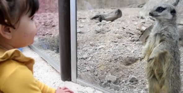 Los mercantilitos celebraron el día del niño