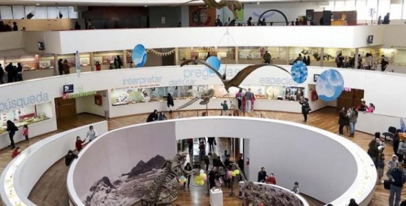 CONVOCATORIA ABIERTA DEL MUSEO DE CIENCIAS NATURALES: “CRUCES CREATIVOS”