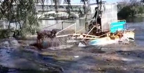 La cosechadora de algas ya está limpiando el lago