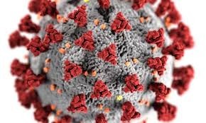 Situación epidemiológica de la provincia