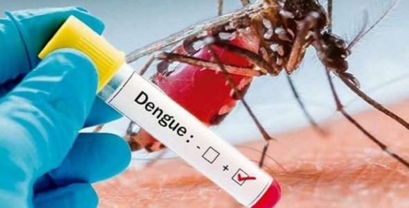 Prevención del Dengue, Zika y Chikungunya