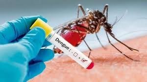 Campaña de lucha contra el dengue