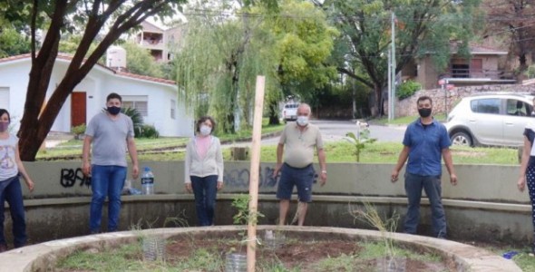 Forestación de espacios públicos con plantas nativas