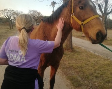 Realizan una campaña para rescatar a los animales victima de incendios en las sierras