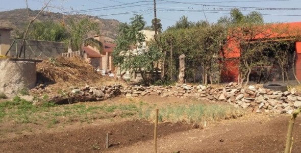 Huerta: una actividad en auge