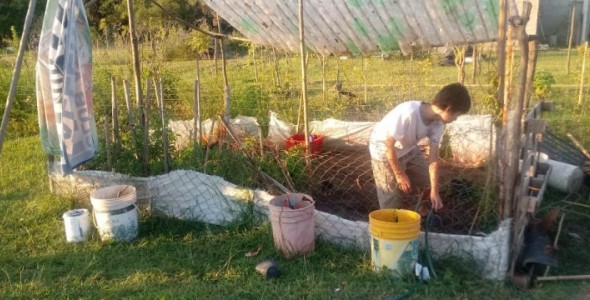 Huerta en tiempos de cuarentena