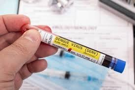 CAMPAÑA CONTRA EL DENGUE