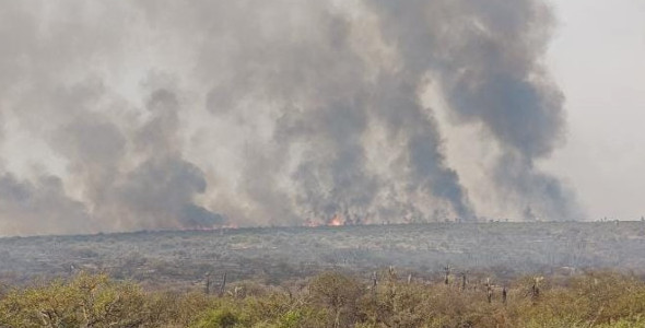 INCENDIO: ESTADO DE SITUACIÓN EN LA PROVINCIA