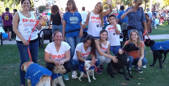 IPAD prepara perros para acompañamiento terapéutico