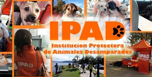 IPAD participa de un concurso para ganar alimento balanceado