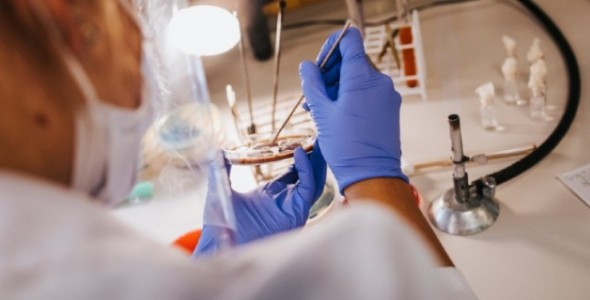 DÍA DE LA MUJER EN PERSPECTIVA DE LA CIENCIA Y LA TECNOLOGÍA
