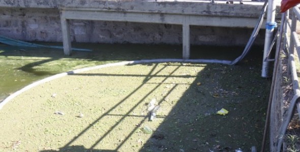 Continúan los trabajos de mitigación del lago San Roque