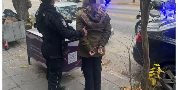 Detienen a una mujer por hurto, daños y agresión en un comercio céntrico